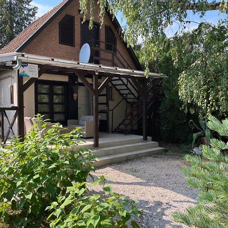 Aranypart Vendeghaz - Tiszakecske Villa Eksteriør billede